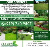 Landscape Maintenance Contractor Raleigh image 1